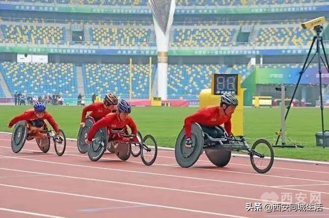 探索澳門未來，2025新澳門正版免費(fèi)資本車展望，澳門未來展望，2025資本車正版免費(fèi)探索之旅