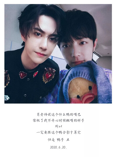 王中王一肖中特一肖精準(zhǔn)預(yù)測——揭秘生肖運(yùn)勢與未來展望，揭秘生肖運(yùn)勢預(yù)測，王中王一肖精準(zhǔn)預(yù)測未來展望