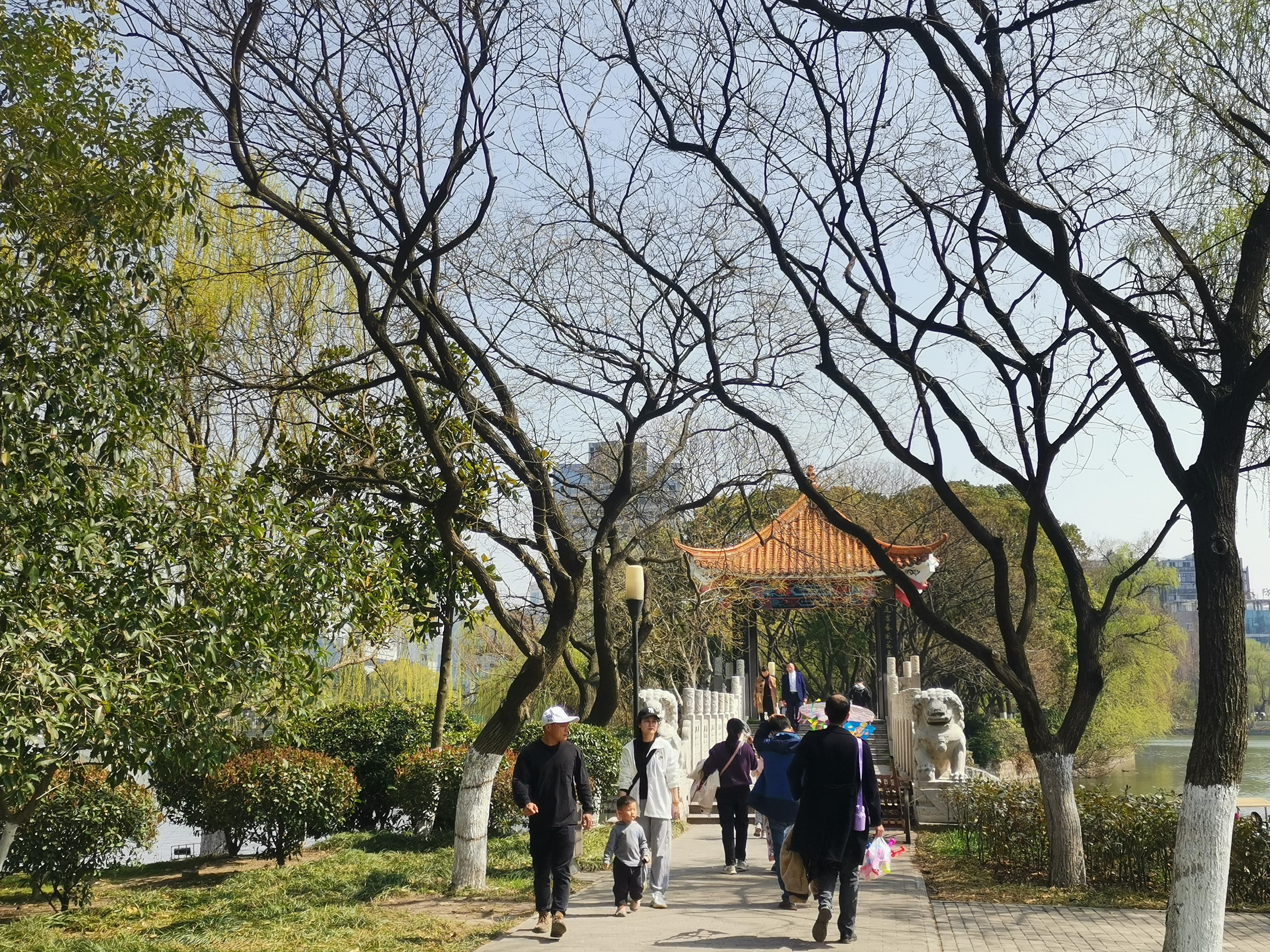 澳門75期最快天天開獎，揭秘彩票背后的秘密與策略，澳門75期天天開獎揭秘，彩票背后的秘密與策略探究