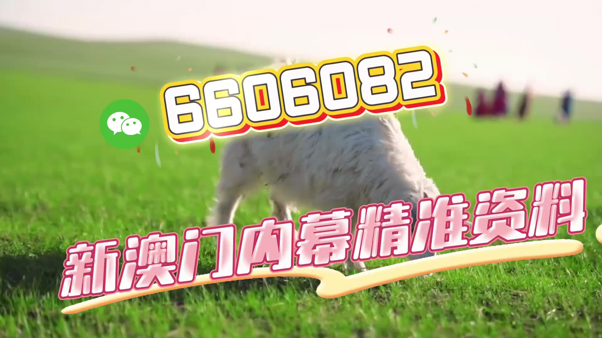 新澳門期期準免費期期準，探索真實性與背后的秘密，澳門彩票背后的真實性與秘密探索