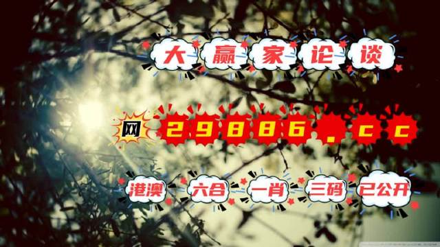 探索未來(lái)，2025年澳門(mén)王中王100%資料解析，揭秘未來(lái)澳門(mén)王中王，2025年資料解析全解析