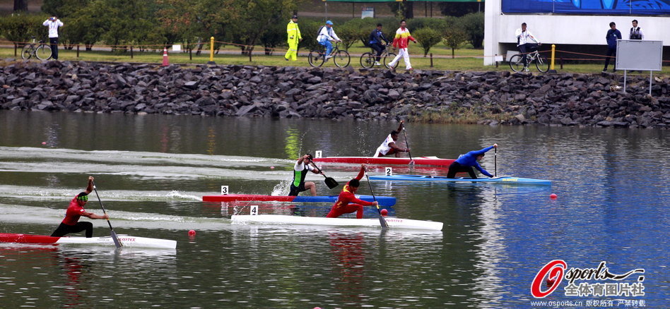 王中王一肖一馬期期中特，深度解析與SEO優(yōu)化策略，王中王一肖一馬期期中特深度解析與SEO優(yōu)化策略指南