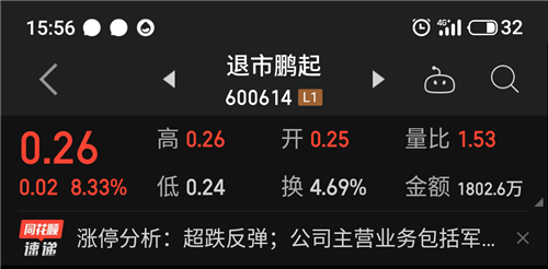 ST鵬起（股票代碼，600614）股吧深度解析，探索企業(yè)潛力與未來展望，ST鵬起（股票代碼，600614）深度解析，挖掘企業(yè)潛力與未來展望股吧討論區(qū)熱議話題解析