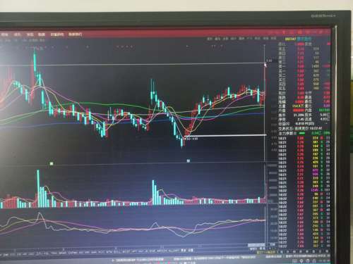 探索福瑞股份股吧的獨(dú)特魅力，一個(gè)全方位解析的視角，福瑞股份股吧的獨(dú)特魅力，全方位解析視角