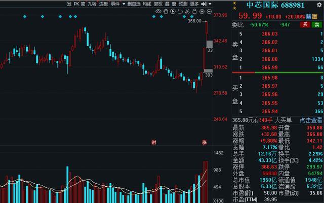 半導(dǎo)體龍頭股票，市場趨勢與投資前景分析，半導(dǎo)體龍頭股票投資前景及市場趨勢深度解析