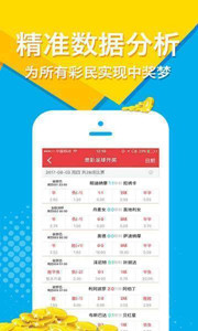 王中王四肖選一，揭秘選擇與策略的藝術，揭秘王中王四肖選一的選擇策略藝術