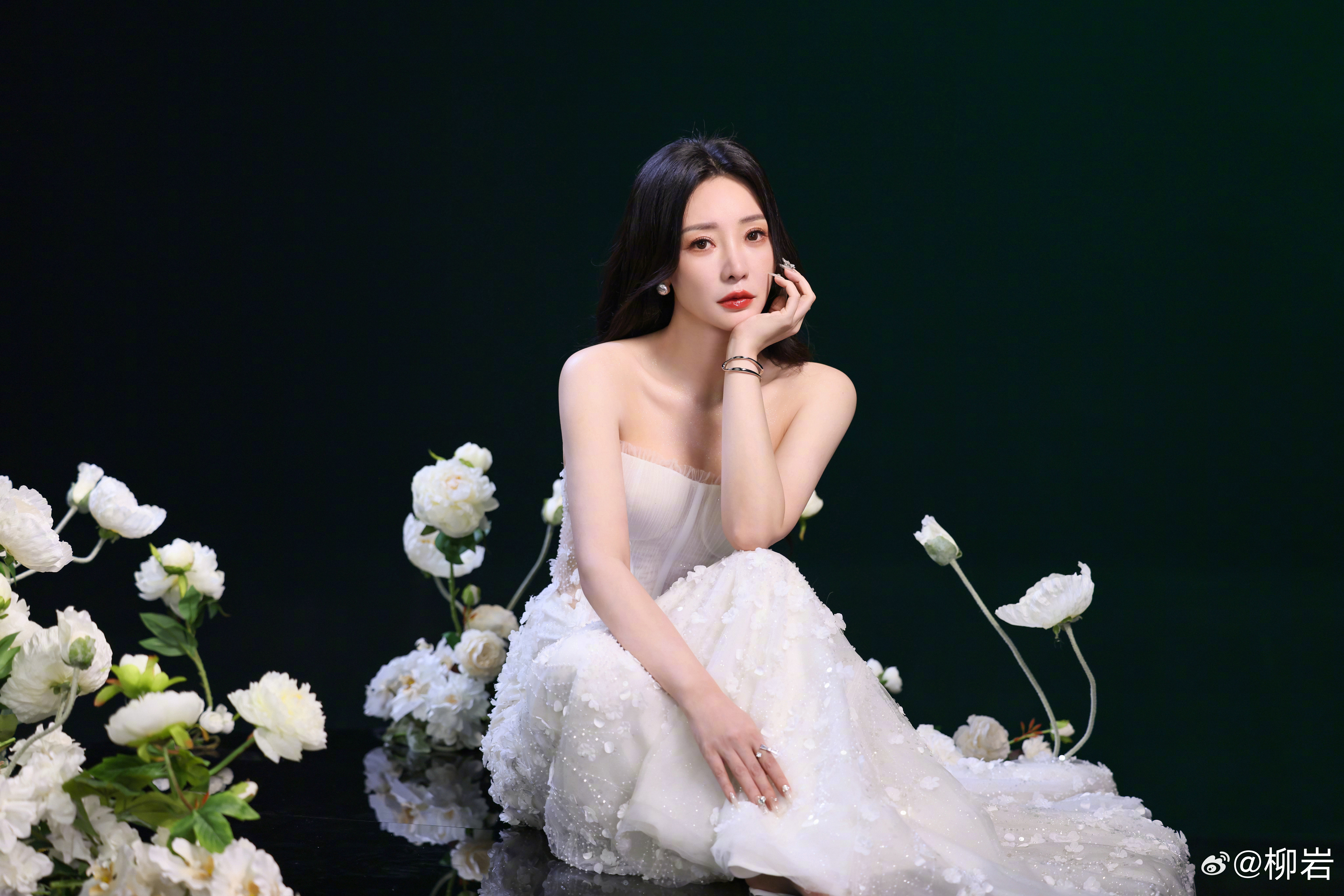 柳巖個人資料及結婚情況深度解析，柳巖個人檔案與婚姻狀況全面解析