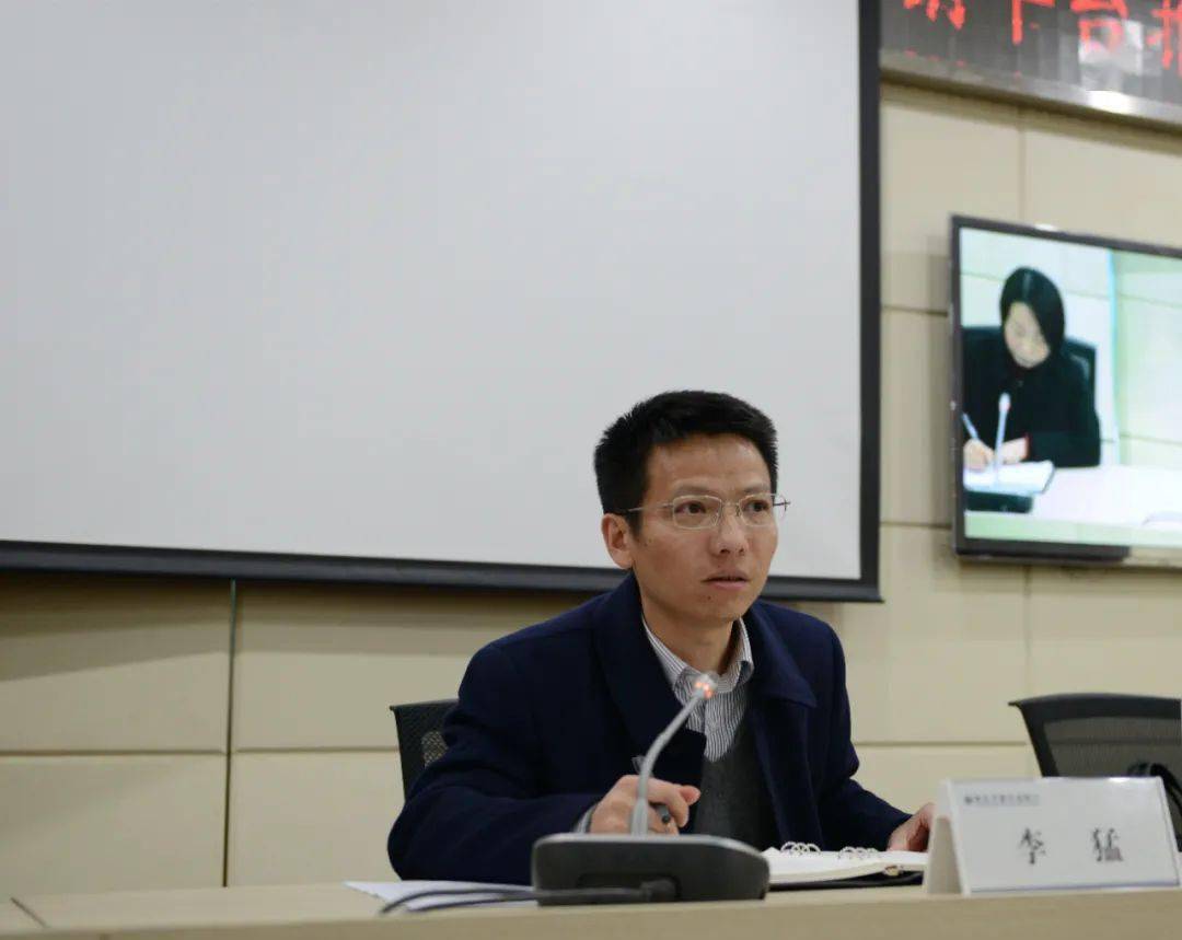 正版王中王一肖平碼圖——深度解析與探索，正版王中王一肖平碼圖深度探索與解析